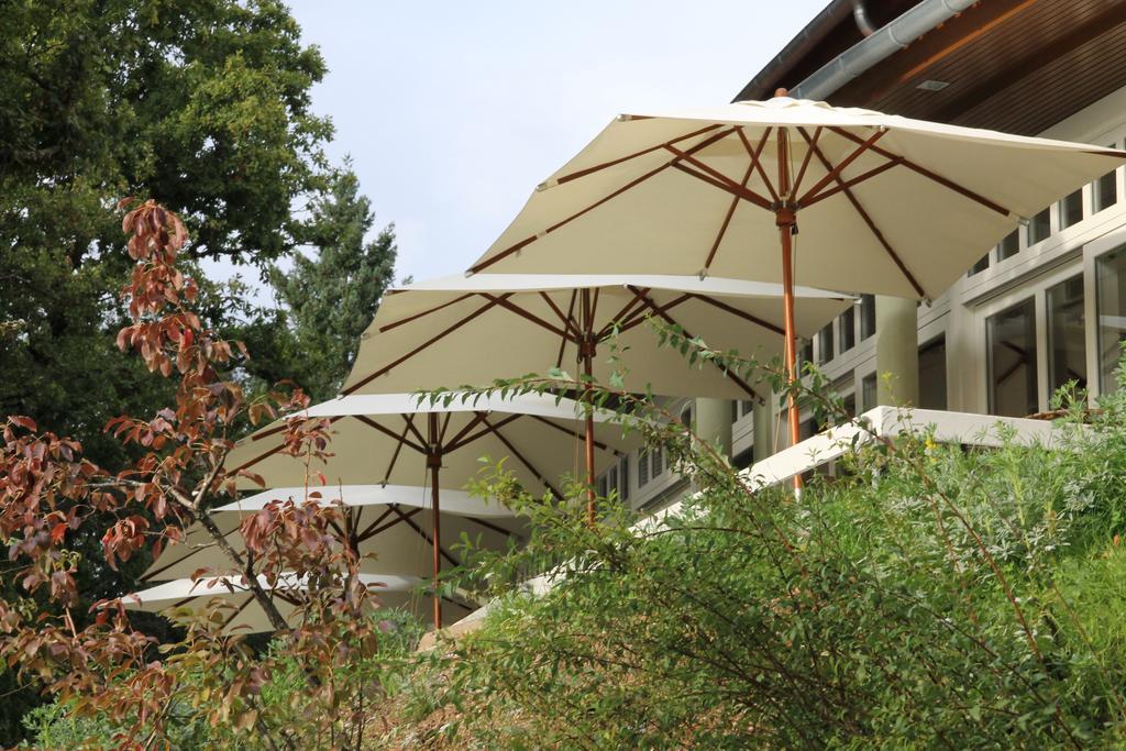 Hotel Rural Misarela Gerês Exterior foto